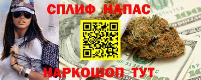 дживик Моздок