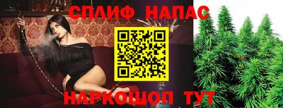 дживик Моздок