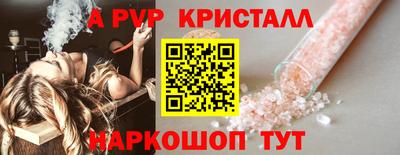 дживик Моздок