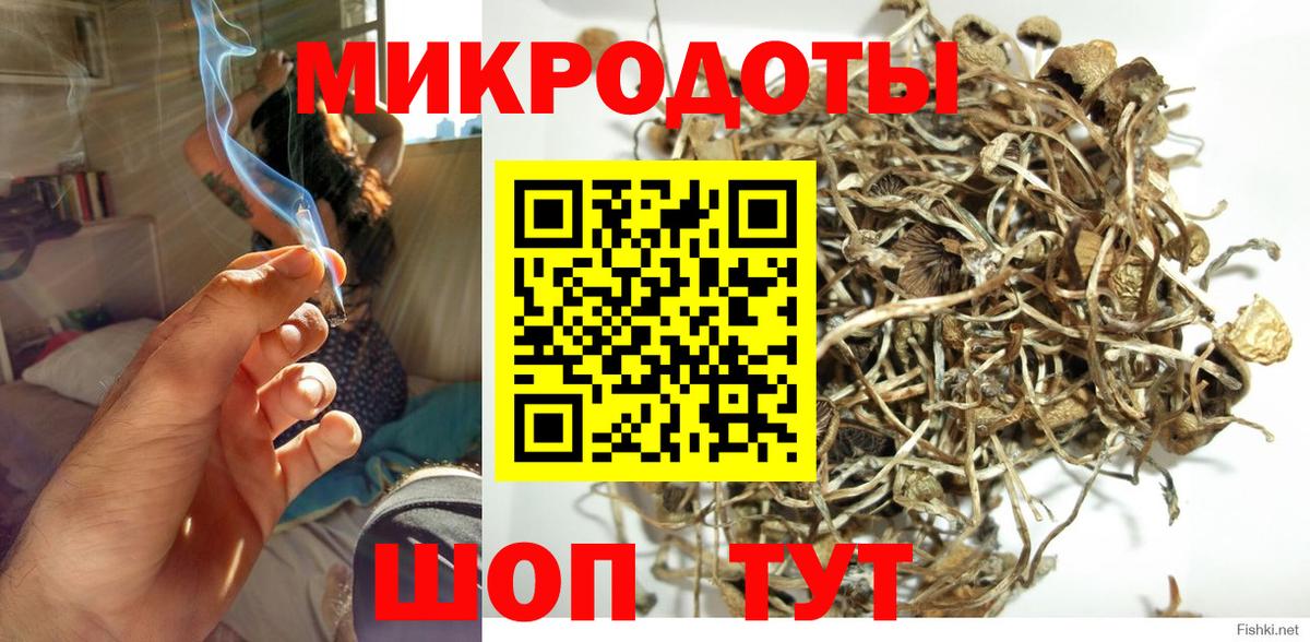 Галлюциногенные грибы прущие грибы Энгельс
