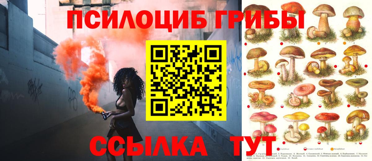 Галлюциногенные грибы мухоморы  Вход с VPN  Энгельс 